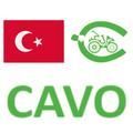 Cavo