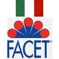 Facet